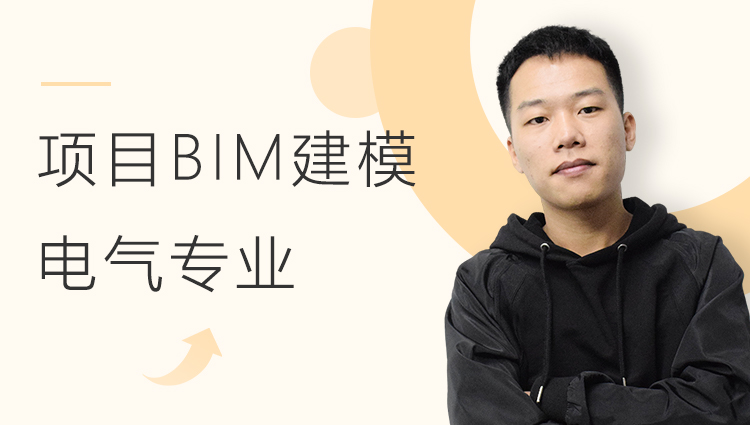 酒店项目BIM建模：电气专业模型