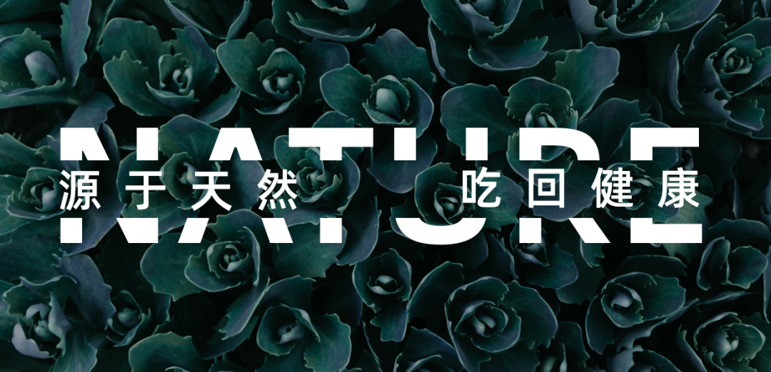 腿腿教学网.png