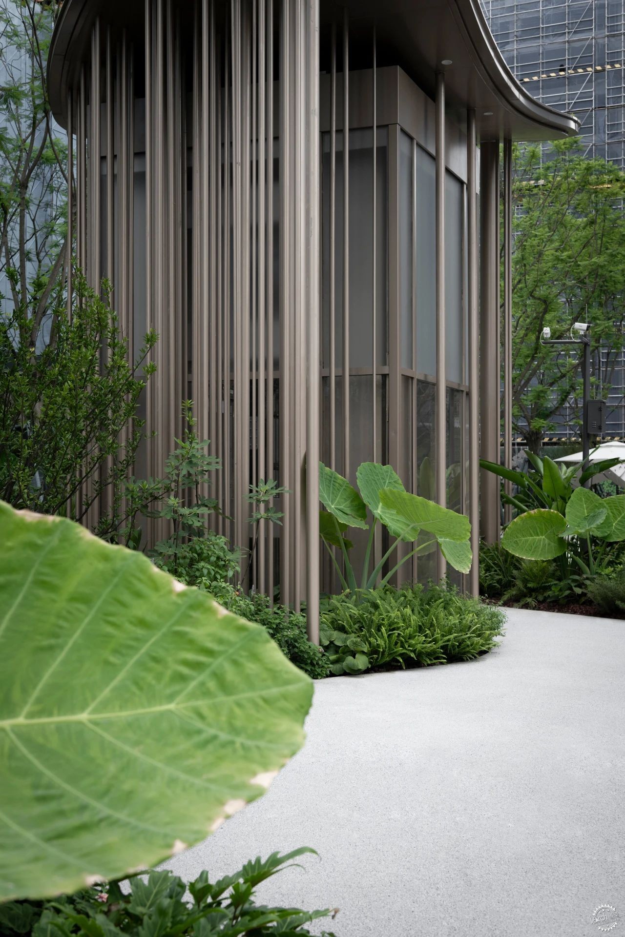 绿岛共栖 | 西璟天玺第5张图片