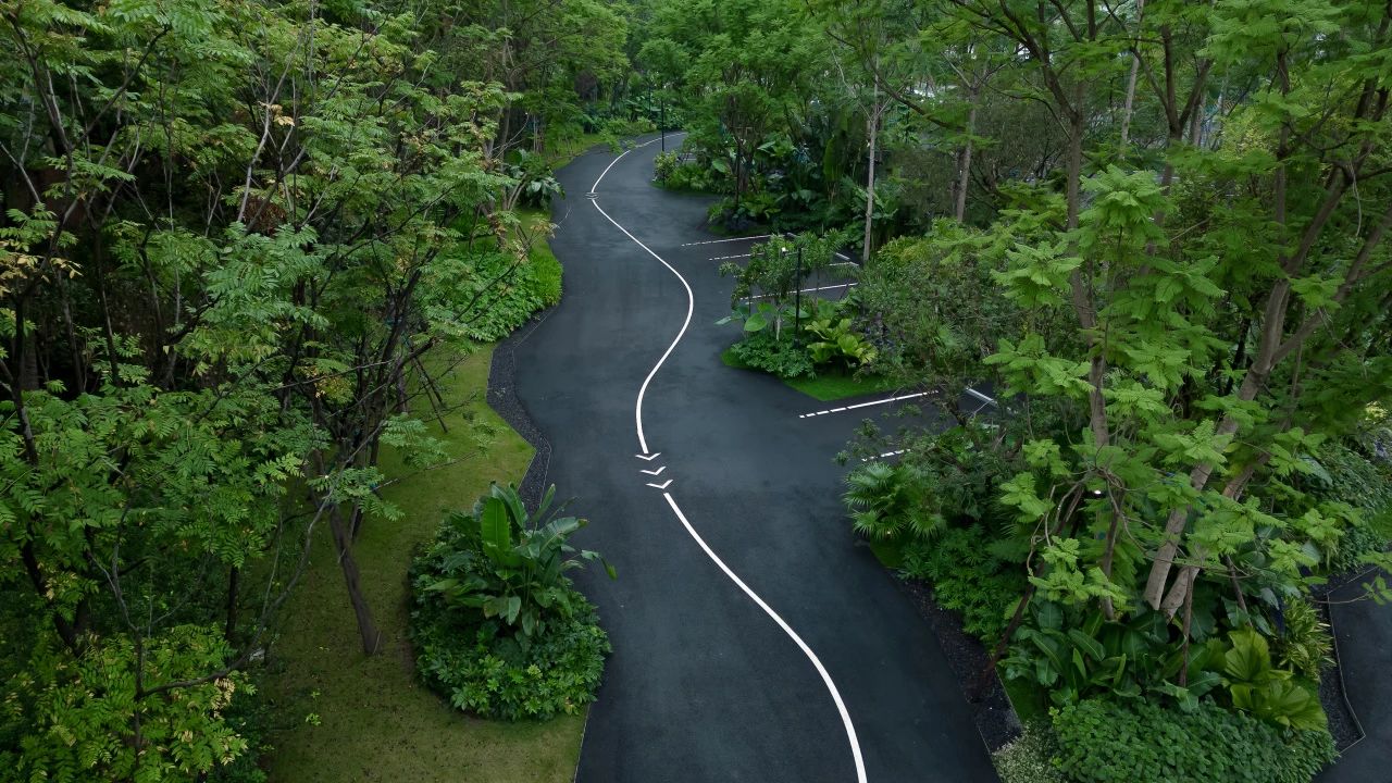 ONE PARK | G11第25张图片