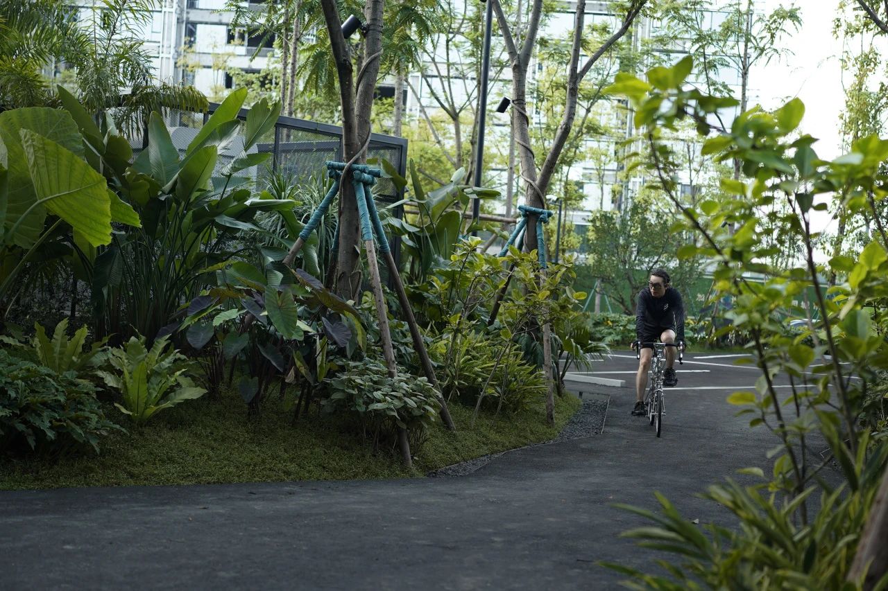 ONE PARK | G11第33张图片