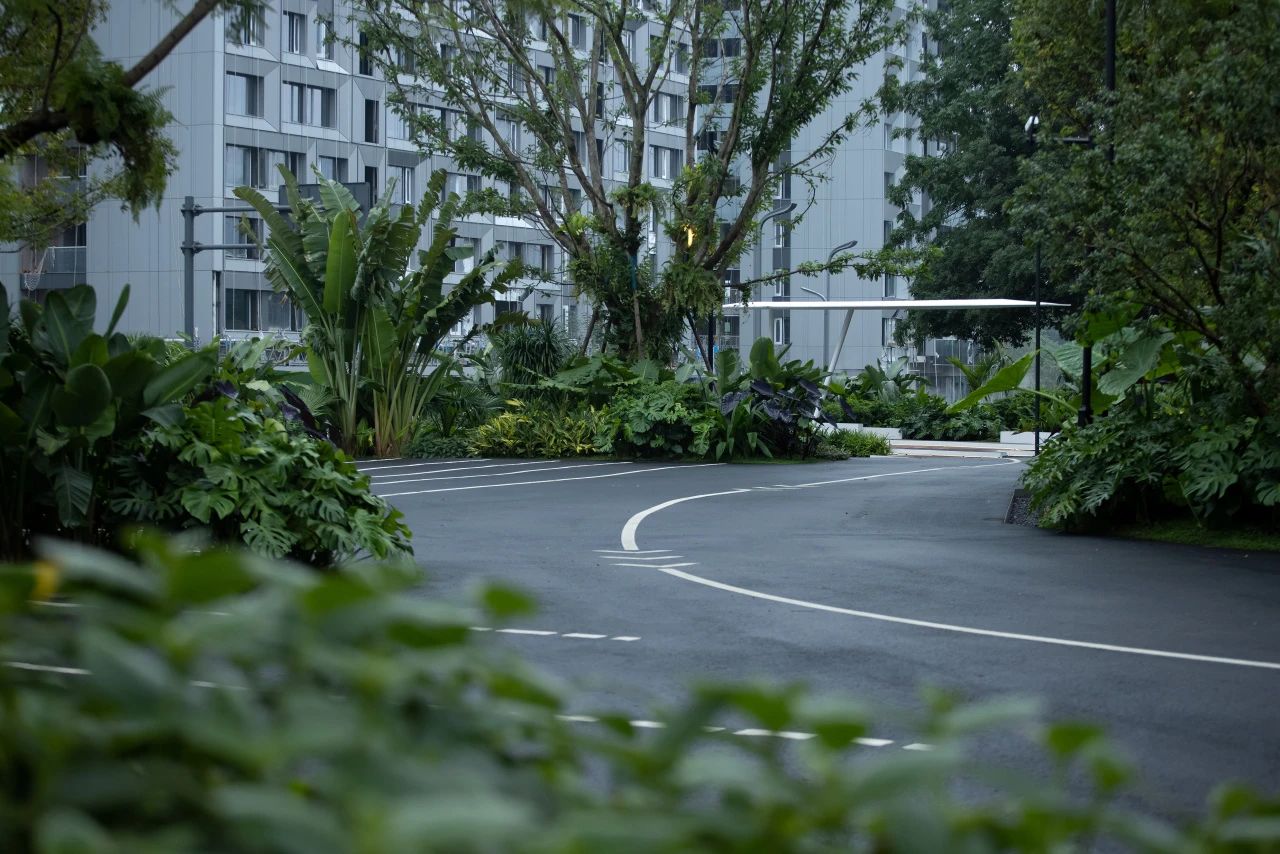 ONE PARK | G11第28张图片