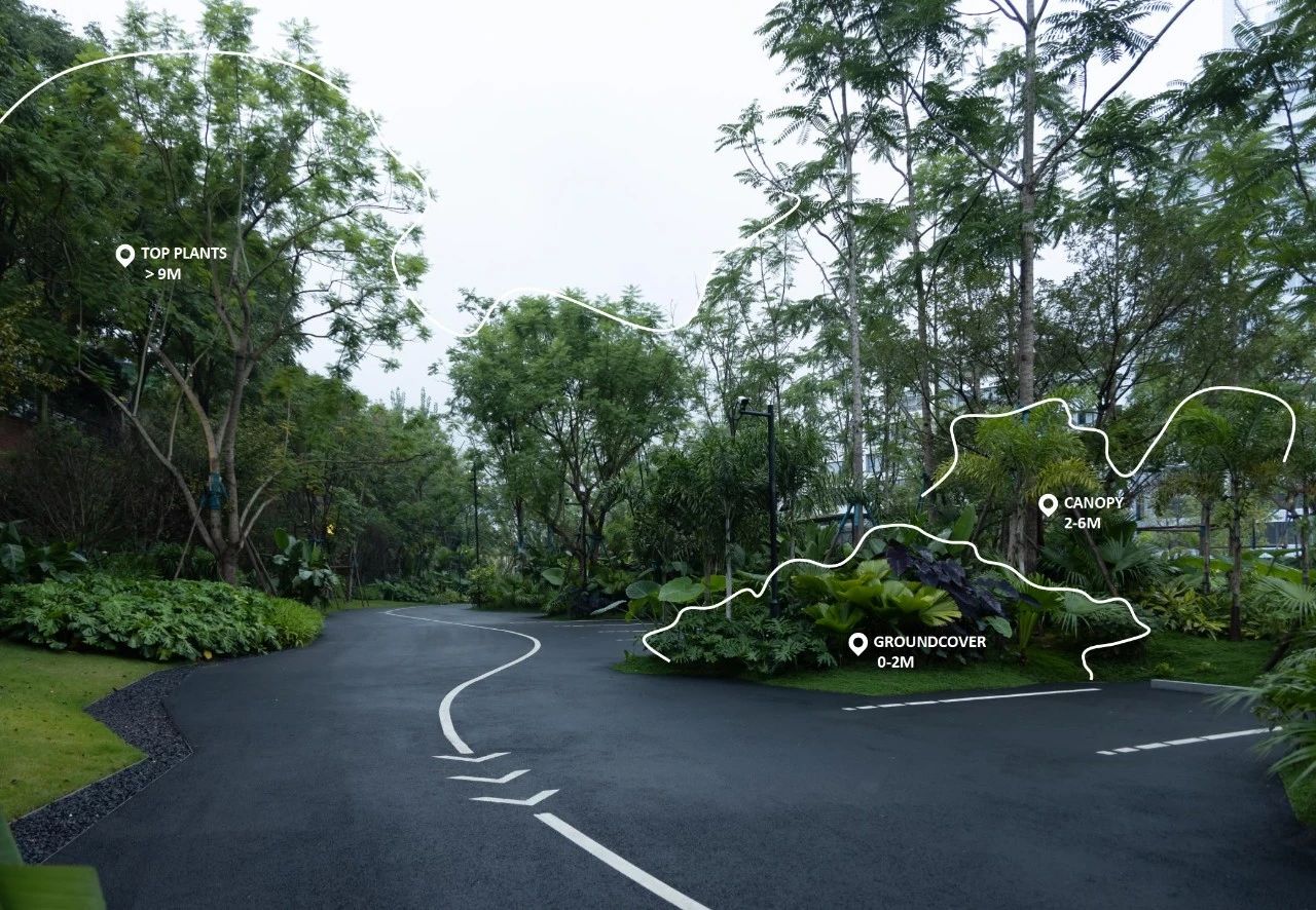 ONE PARK | G11第19张图片