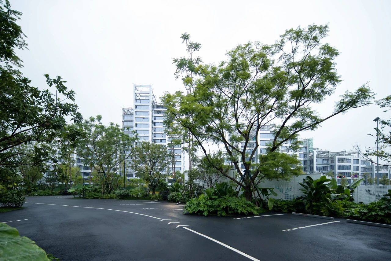 ONE PARK | G11第3张图片