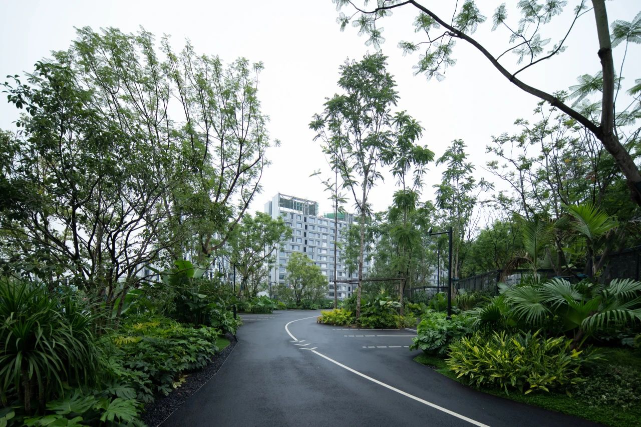 ONE PARK | G11第27张图片