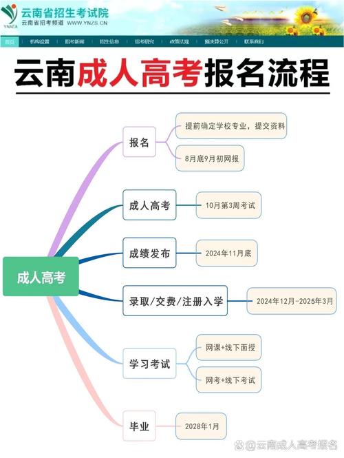 云南省成人高考学历要求及报名流程详解 - 腿腿教学网