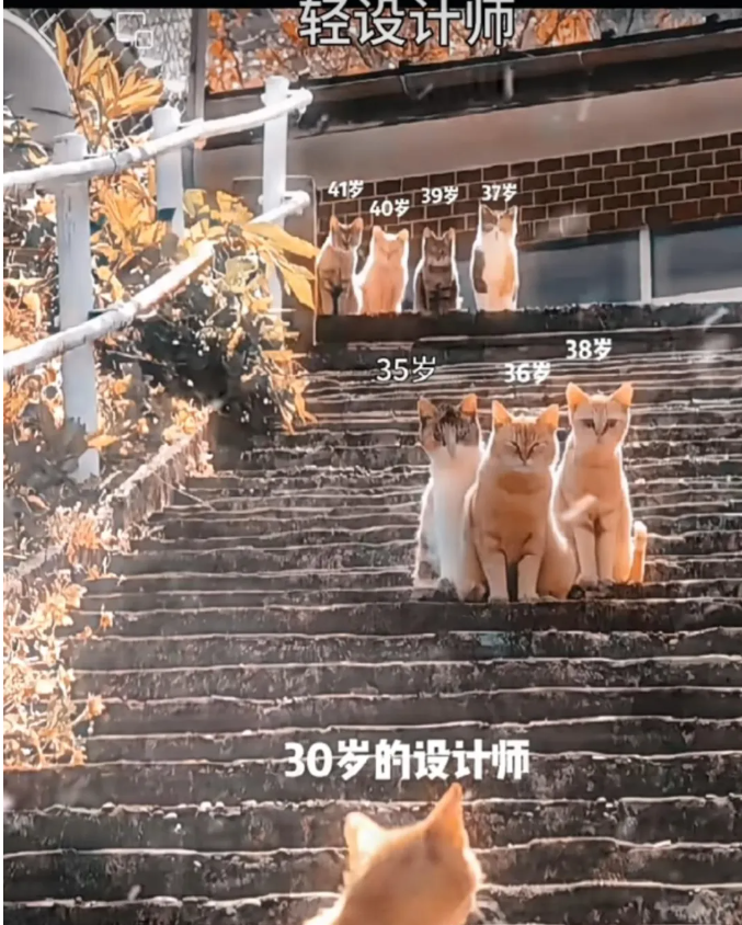 今日建筑圈 | 拿什么送别离开设计院的年轻人